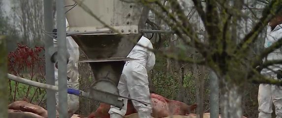 Veterinari traže pomoć - 4