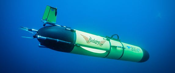 Robotska podmornica Redwing