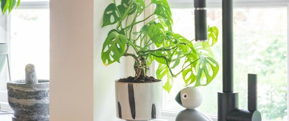 Crni detalji izgledaju sjajno, ali mogu biti izazovni za održavanje