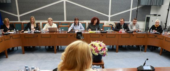 Sjednica saborskog odbora za obitelj, mlade i sport