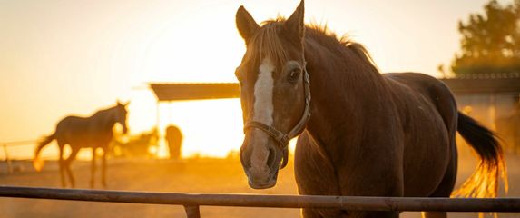 Kviz općeg znanja - 3