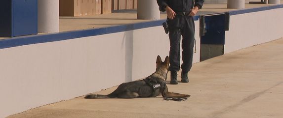 Na Bregani jedna od najvećih zapljena cigareta ikada