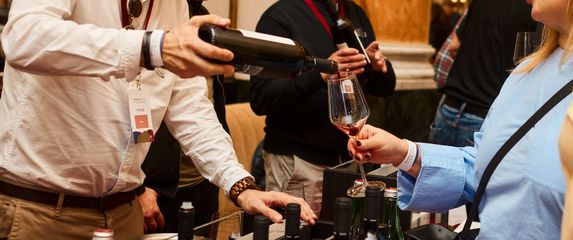 Dalmatinske Vinske Ikone - 4