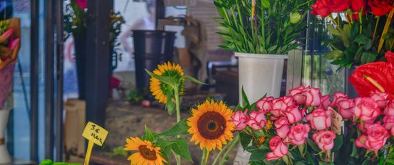 Cvjećarnica, ilustracija