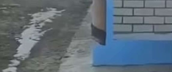 Mačka koja se penje po pokrivaču