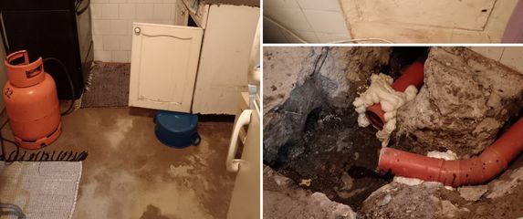 Štakori u stanu u Zagrebu - 2