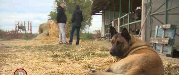 Provjereno - Poljoprivrednik pobijedio državu - 4