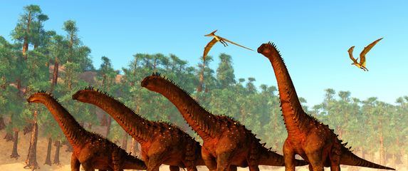 Krdo Alamosaura, ilustracija