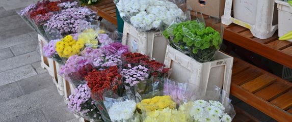 Ilustracija; Cvijeće na tržnici