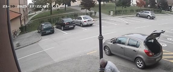 Drski lopov u Rovišću