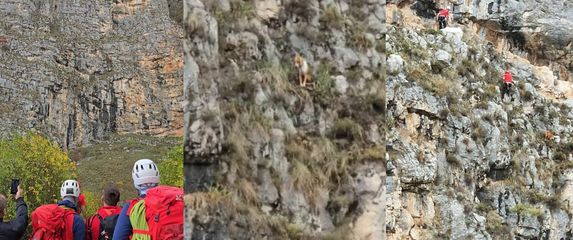 Spašavanje psa sa stijene - 10