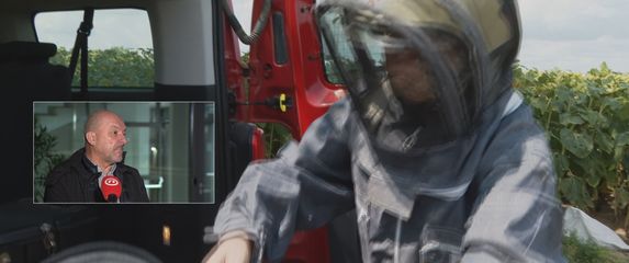 Gnijezda stršljena u dimnjaku - velika opasnost - 2