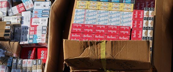 Uništavanje duhana u Prgometu