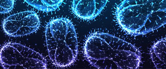 Virus majmunskih boginja