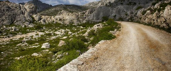 Kviz općeg znanja - 12