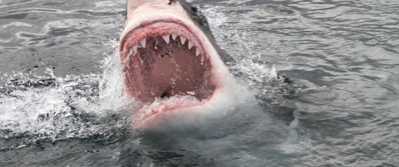 Ilustracija (Foto: iStock / Getty Images Plus)