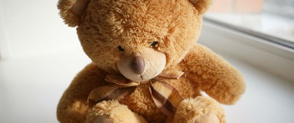 Medvjedić čita knjigu