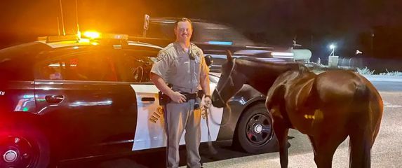 Policija na autocesti zaustavila muškarca koji je pod utjecajem alkohola jahao konja