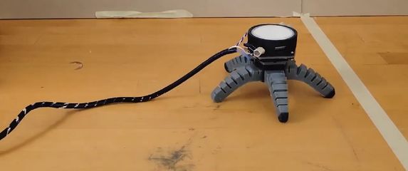 Biohibridni robot