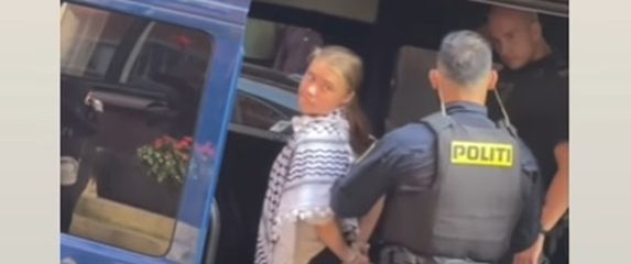 Uhićena Greta Thunberg