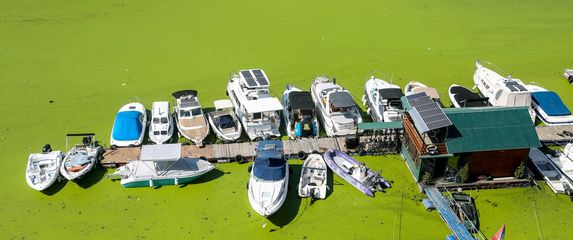 Rijeka Sava u Beogradu promijenila boju - potpuno je zelena - 1