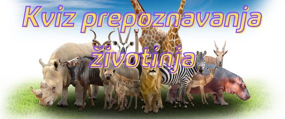 Razne životinje u prirodi i natpis Kviz prepoznavanja životinja