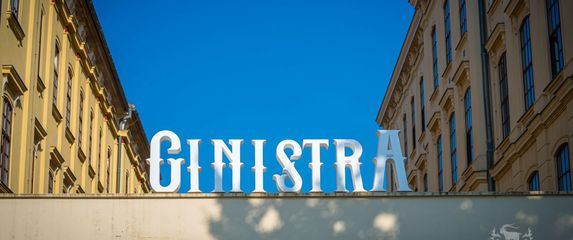 Festival GinIstra u Rovinju - 5