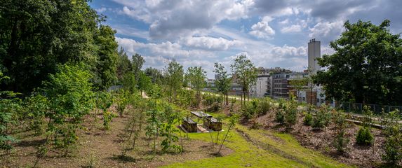 Bois de Charonne