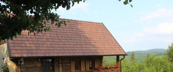 Kuća za odmor Javor - 7