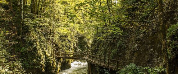 Kanjon Kamačnik, Gorski kotar