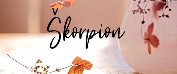 Škorpion