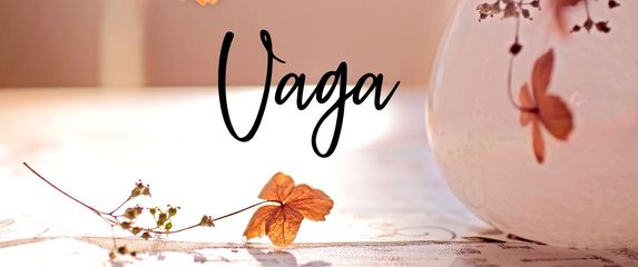 Vaga