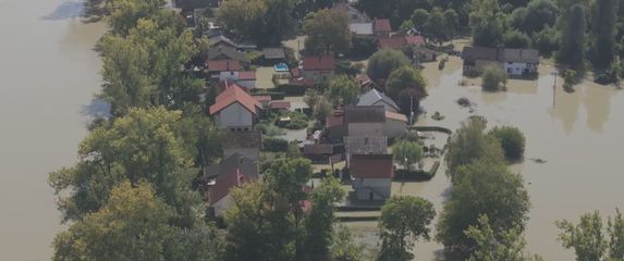 Kopački rit - 4
