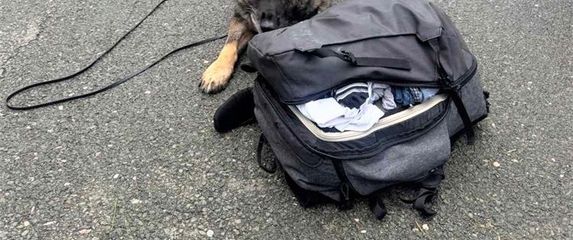 Policijska zapljena na A6 - 1