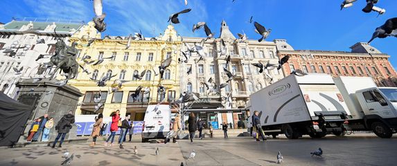 Golubovi na Trgu bana Jelačića