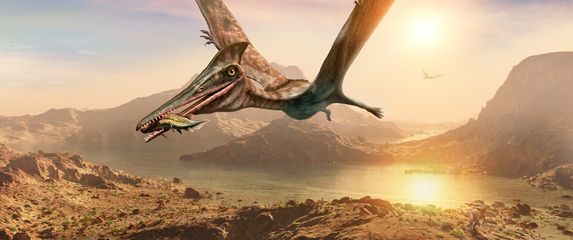 3D ilustracija pterosaura