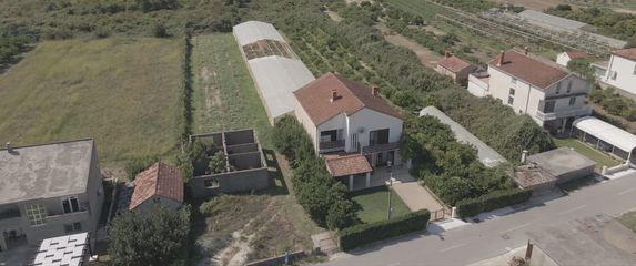 Uginula stoka kod Opuzena - 3