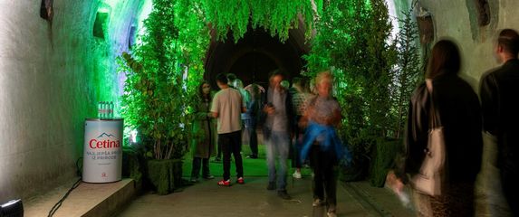 Najljepša priča iz prirode u tunelu Grič - 1