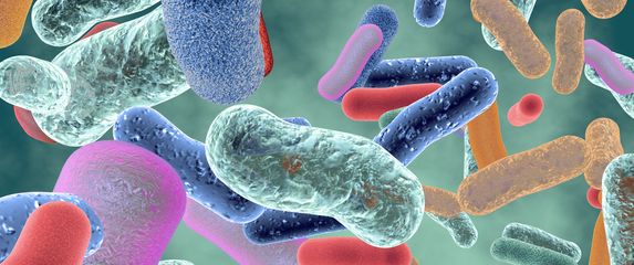Mikrobi, ilustracija