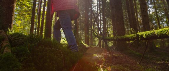 Ilustracija; Planinarenje