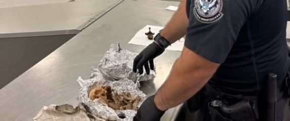 U prtljazi pronađeni ljudski ostaci - 1