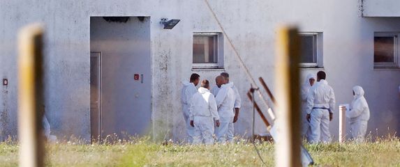 Eutanazija, farma Sokolovac