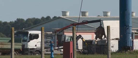 Eutanazija svinja na farmi Sokolovac - 3