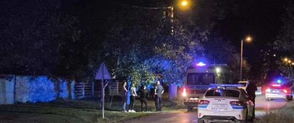 Ubojstvo u Šušnjevcima