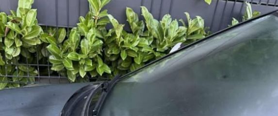 Bizaran detalj na staklu parkiranog automobila