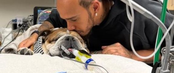 Lewis Hamilton sa psom - 1