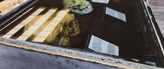 Lubanje u muzeju, ilustracija