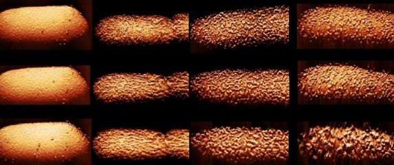 Utjecaj antibiotika na bakteriju E. Coli