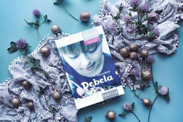 Knjiga Debela Silvije Šesto