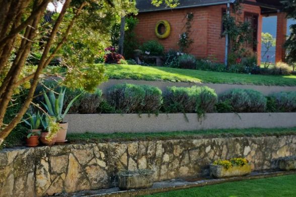 Dvorište Marine Matijašević jedno je od najljepših u Đakovu - 14